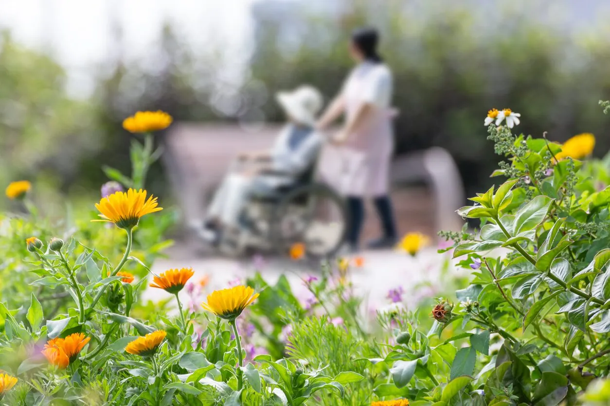 A garden of calendula and daisies, with a carer and client walking together in the background