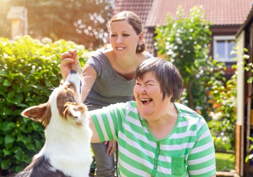 carer and lady with learning difficulties feeding a dog treats carer and lady with learning difficulties feeding a dog treats